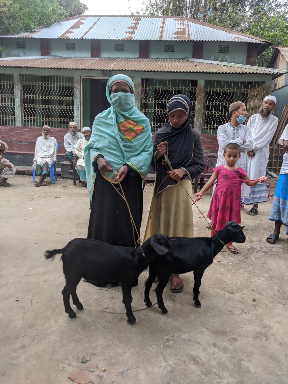 Self-employment - Cattle Farm